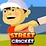 Street Cricket